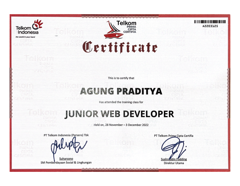 Junior Web Developer Certification